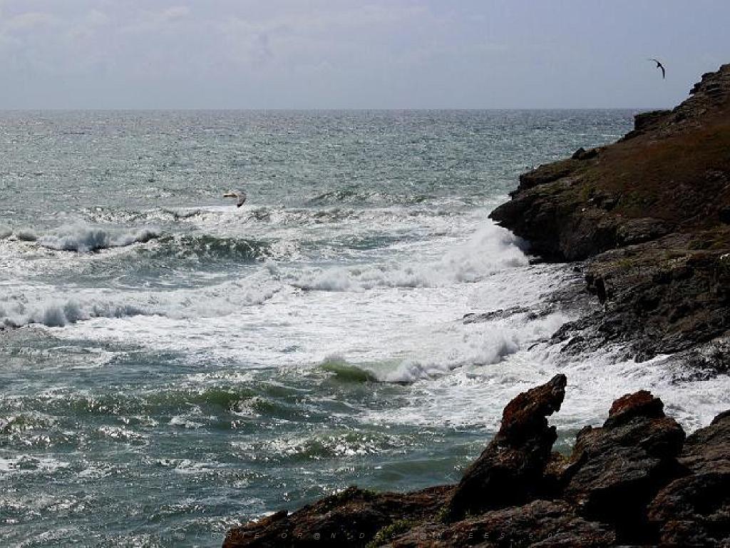 156 ILE DE GROIX_000041.jpg